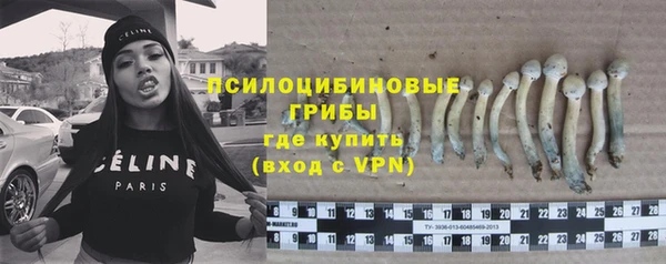 эйфоретик Алексин