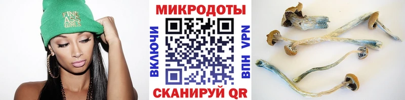 наркота  Пошехонье  darknet какой сайт  Псилоцибиновые грибы MAGIC MUSHROOMS 